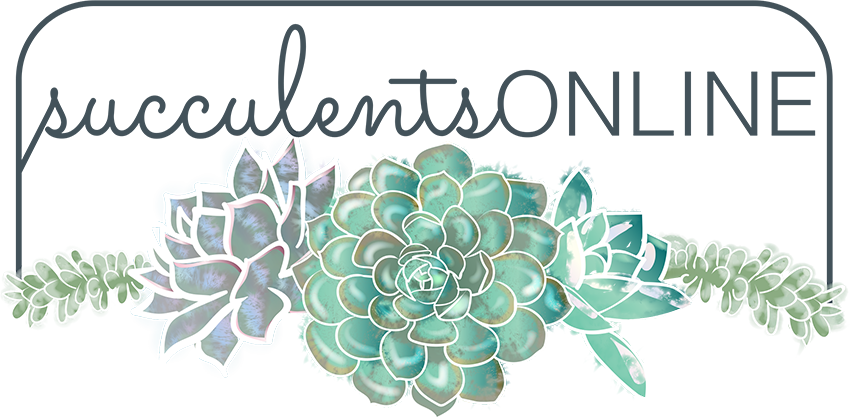 Succulents Online Logo